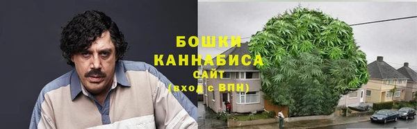 шишки Алексин